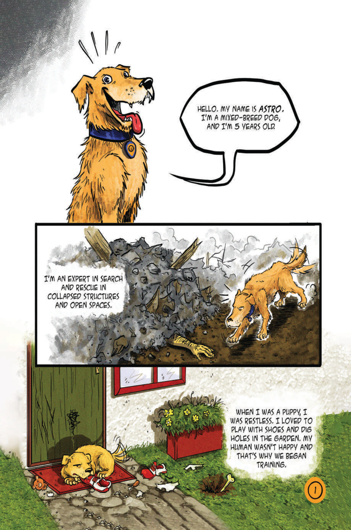 Page 5