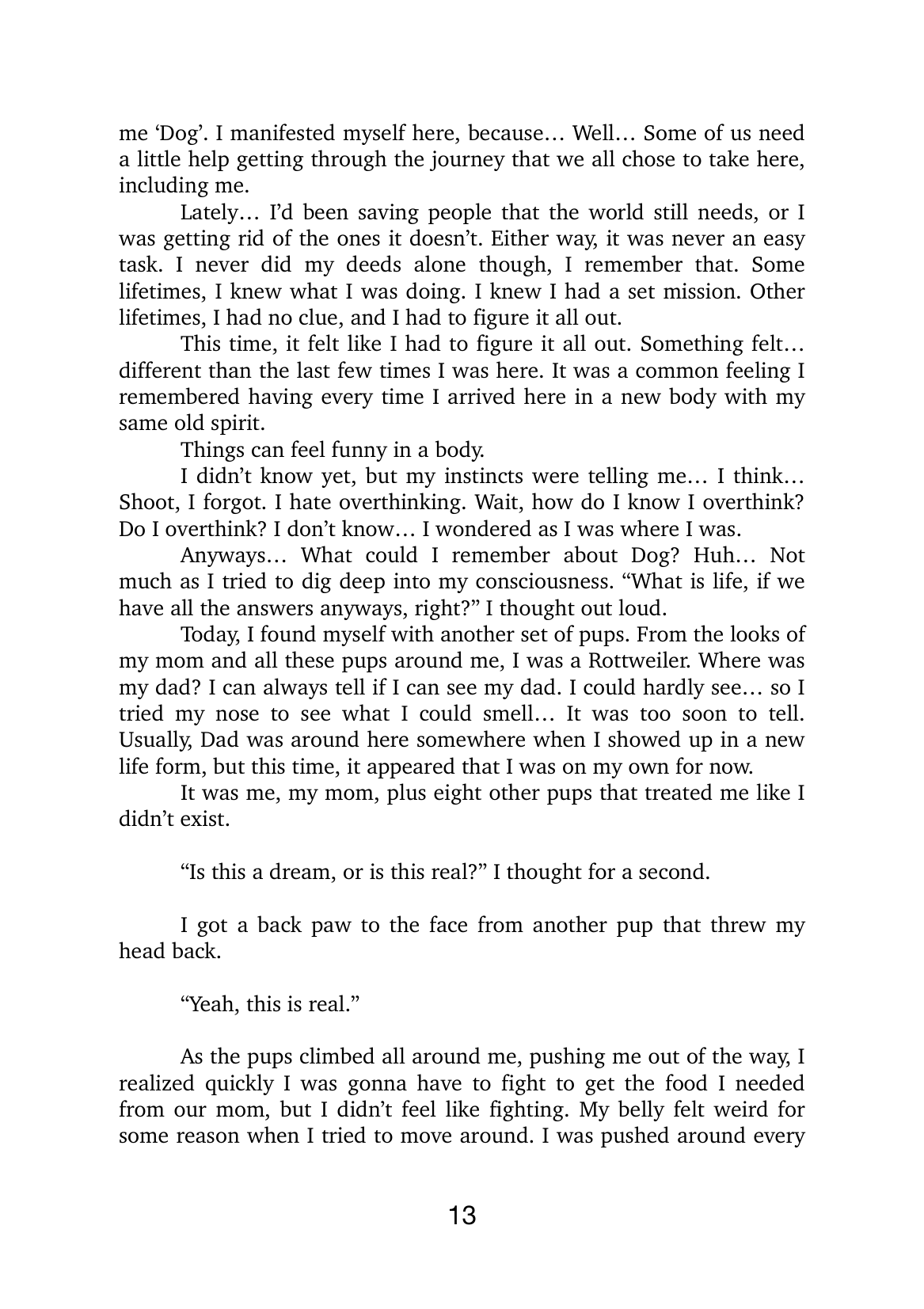 Page 13