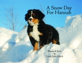 A SNOW DAY FOR HANNAH