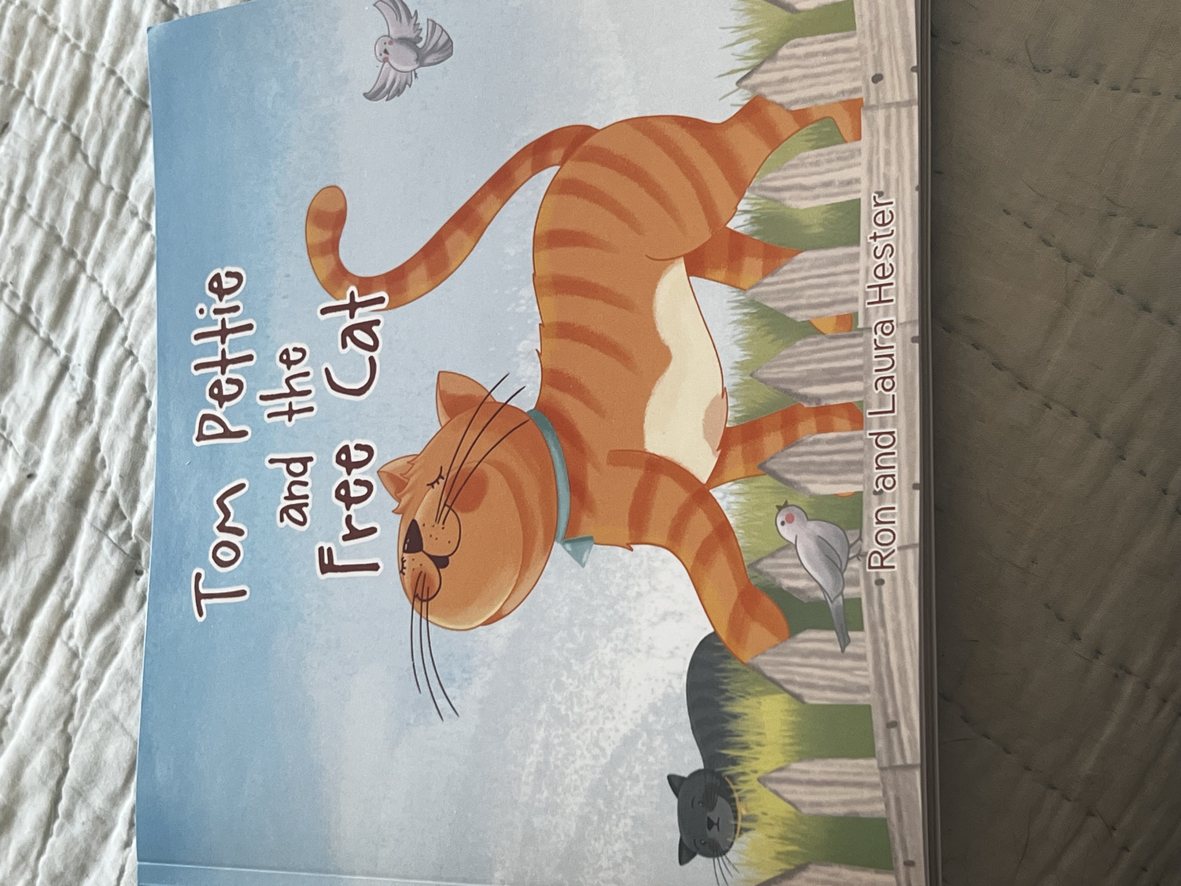 Tom Pettie and the Free Cat