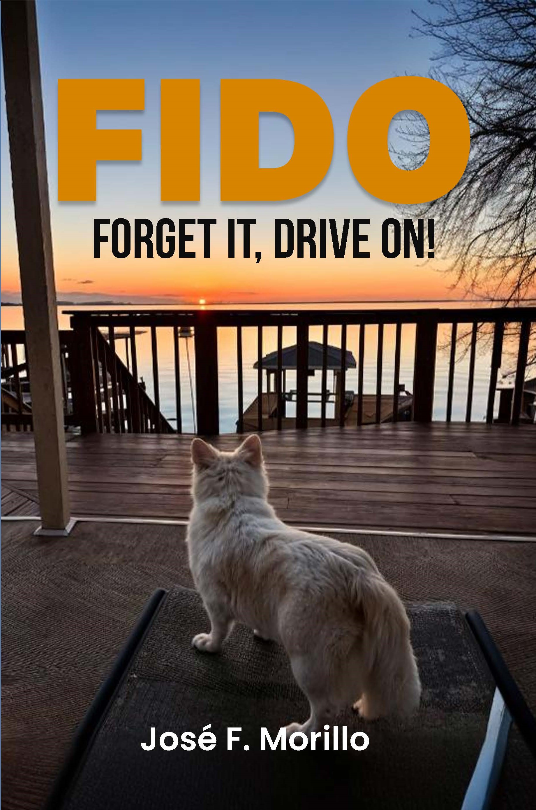 FIDO