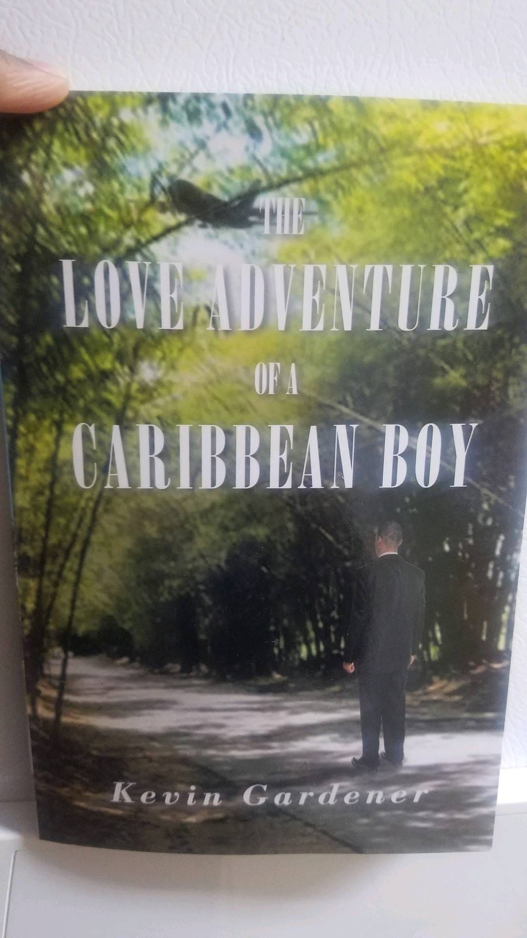 the love adventure  of a Caribbean boy 