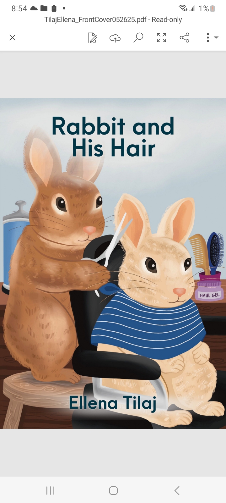 RABBIT AND HIS HAIR