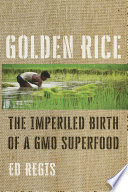 Golden Rice